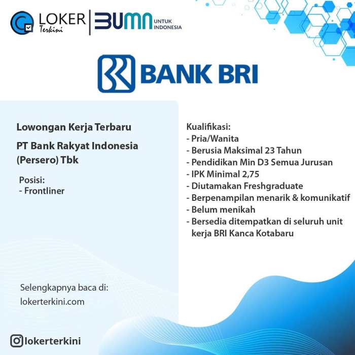 Lowongan Kerja Teller Bank BRI Di Kabupaten Pegunungan Arfak