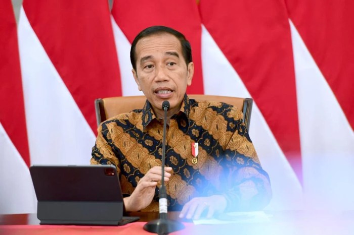 Pendidikan Jokowi Dodo