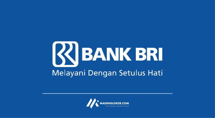 Bpd kaltara kaltim lowongan kerja contactcenterworld Lowongan Kerja Teller Bank BRI Di Provinsi Kalimantan Utara (KALTARA)