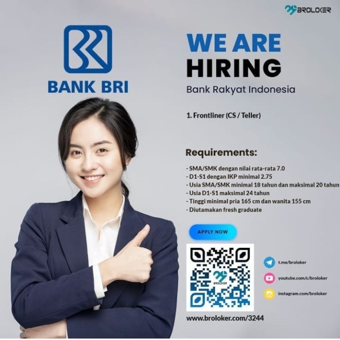 Bri teller Lowongan Kerja Teller Bank BRI Di Kabupaten Tolikara