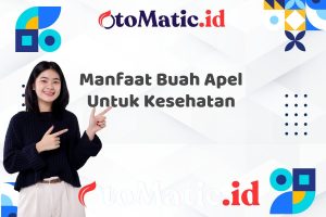 Manfaat Buah Apel Untuk Kesehatan