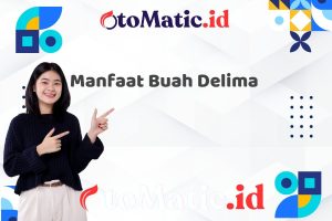 Manfaat Buah Delima