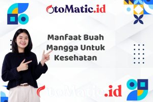 Manfaat Buah Mangga Untuk Kesehatan