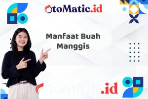 Manfaat Buah Manggis