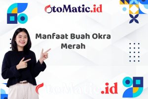Manfaat Buah Okra Merah
