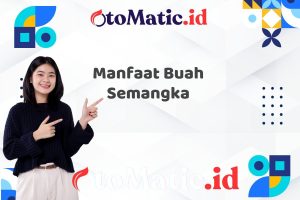 Manfaat Buah Semangka