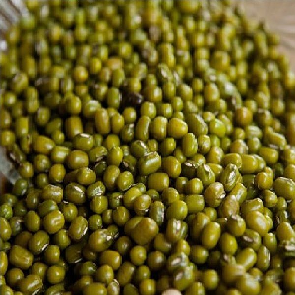 Kacang Hijau Rahasia Tubuh Sehat Langsing?