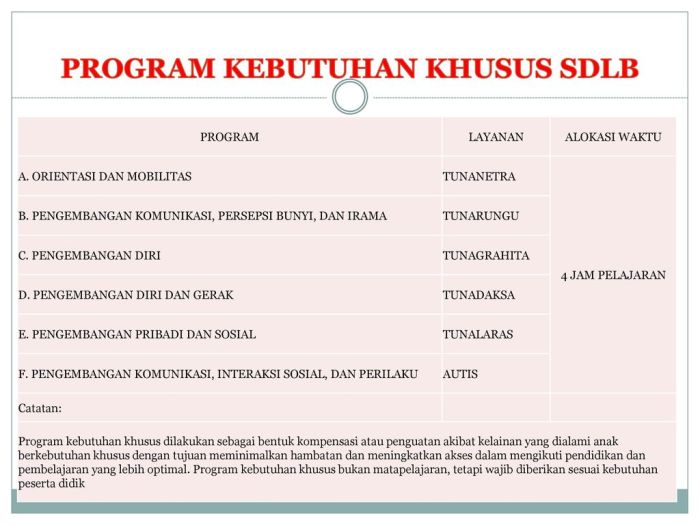 Pendidikan Layanan Khusus Adalah