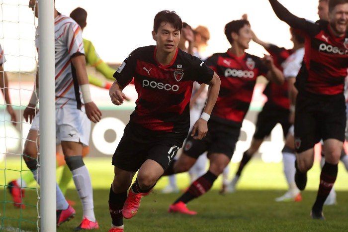 Pohang steelers