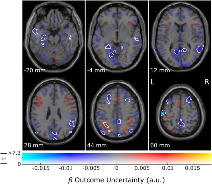 Induction and Relief of Curiosity Elicit Parietal and Frontal Activity ... RPP yang menumbuhkan rasa ingin tahu