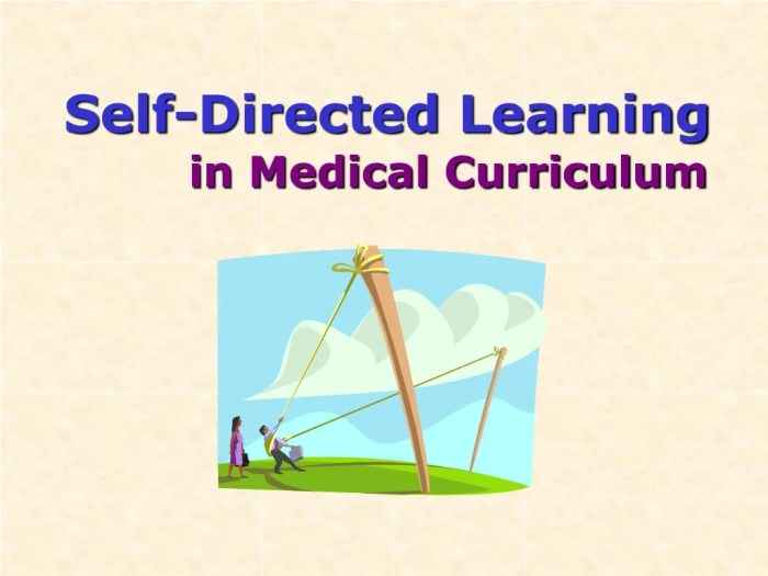 16 Self-Directed Learning Examples (2024) RPP yang membangun kemandirian belajar