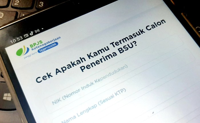 Cara cek bsu