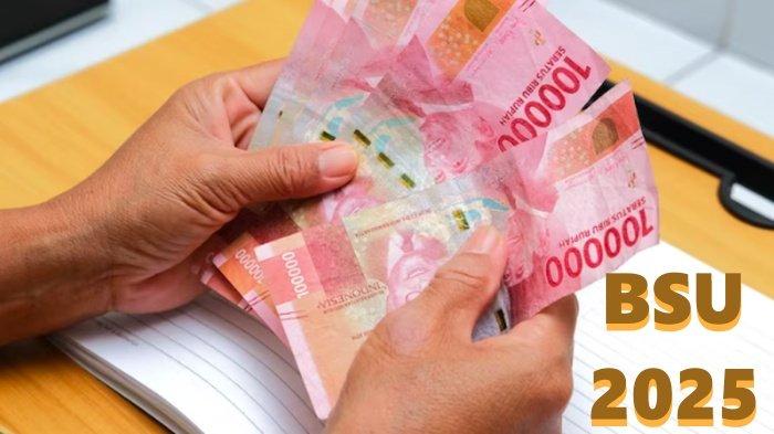 Cek bsu dengan nik