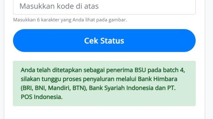 Apa itu bsu