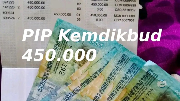 Cara cek pip lewat hp 2025