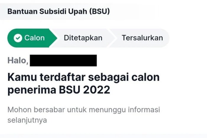 Bsu tahap 2 2025 kapan cair