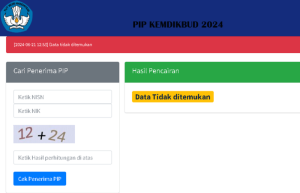 Cara cek pip lewat hp