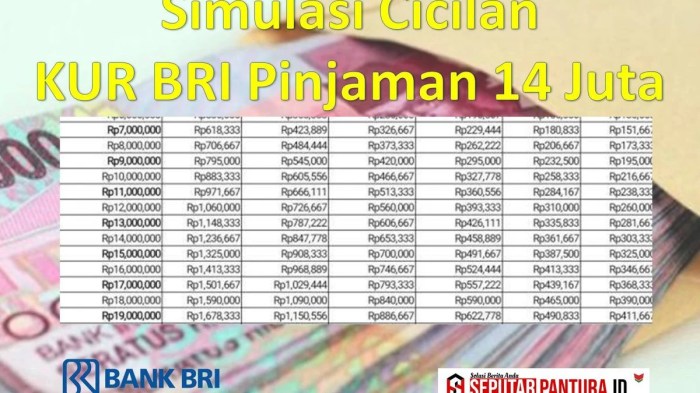Pinjaman bri non kur
