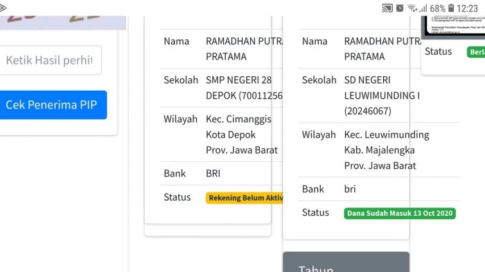 Cara cek dana pip