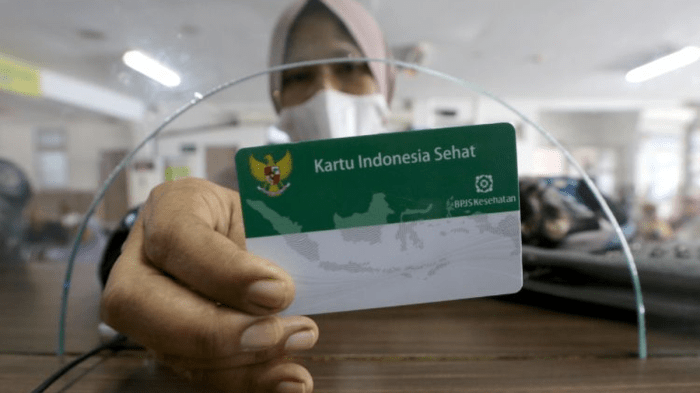 Apa itu pbi-jk