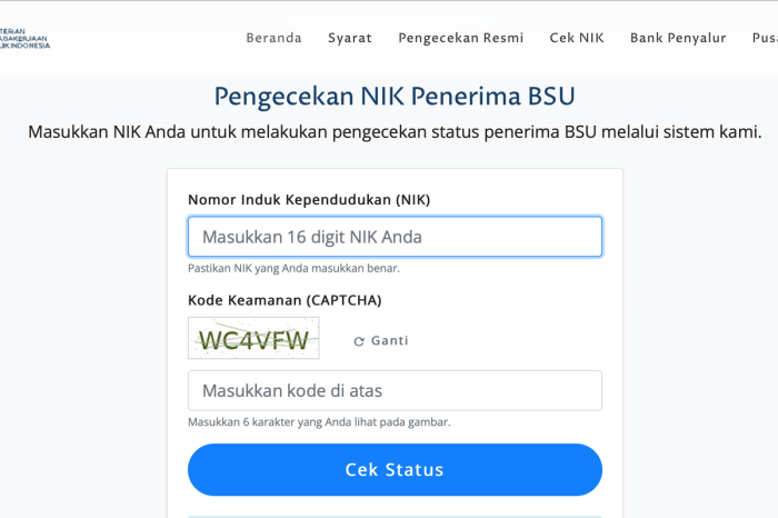 Cek bsu 2025