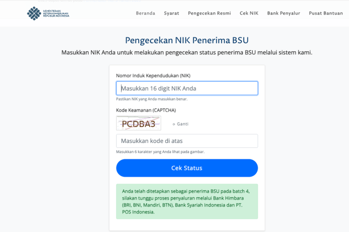 Cek bsu