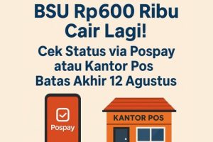 Cek bsu