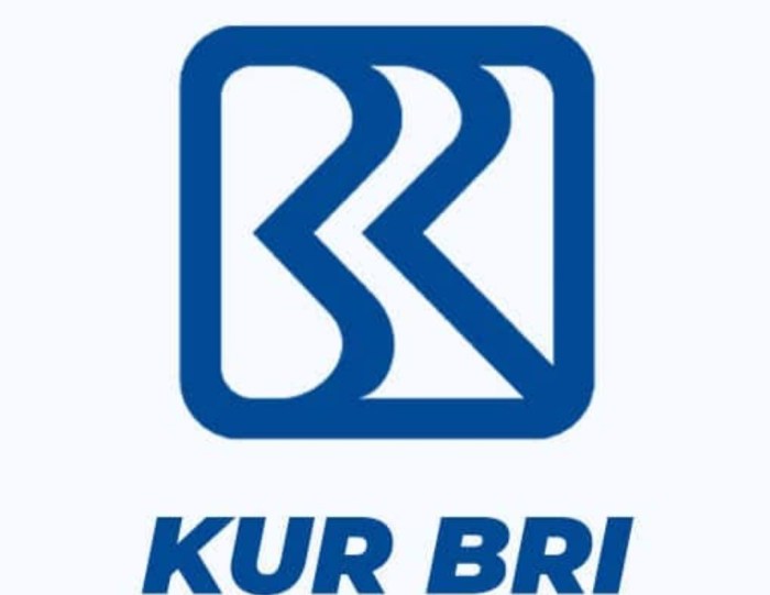 Kur bri