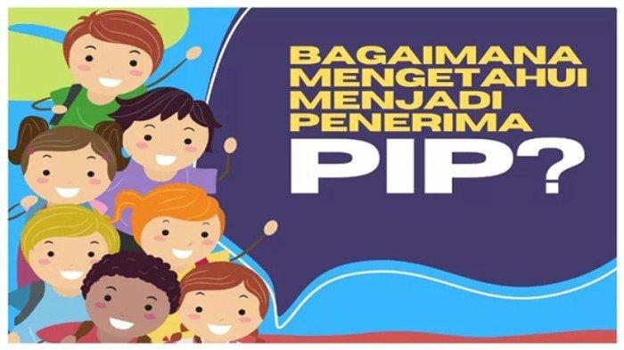 Cara cek pip