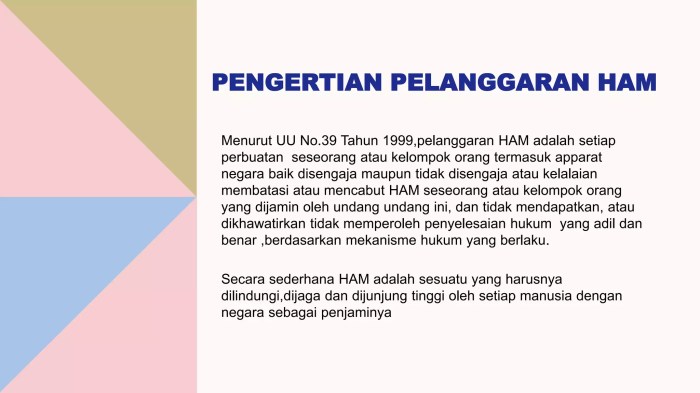 Salah satu bentuk pelanggaran ham ringan adalah