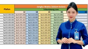Tabel pinjaman bri 2025 non kur