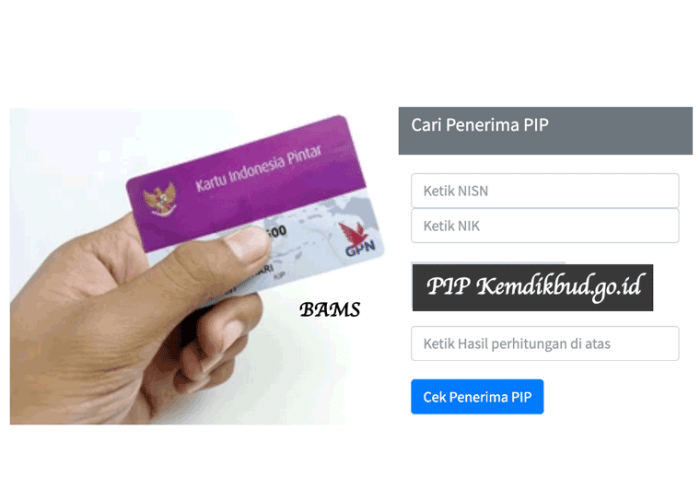 Pip.kemdikbud.go.id 2024 cek data