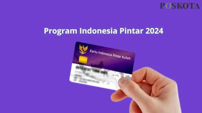 Cara cek dana pip