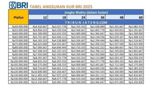 Tabel angsuran kur bri 2025