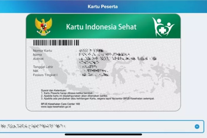 Cara verifikasi akun jkn