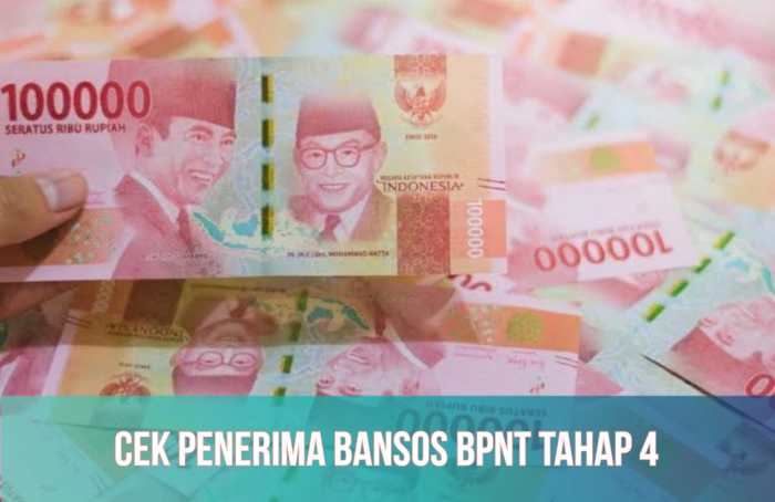 Cek bpnt