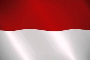 Bentuk negara indonesia
