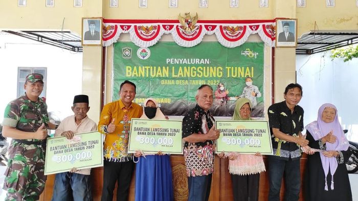 Bantuan langsung tunai