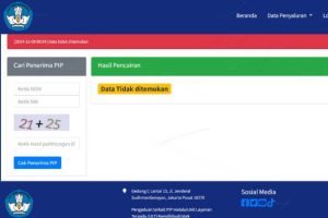 Cek pip kemdikbud go id 2024 terbaru
